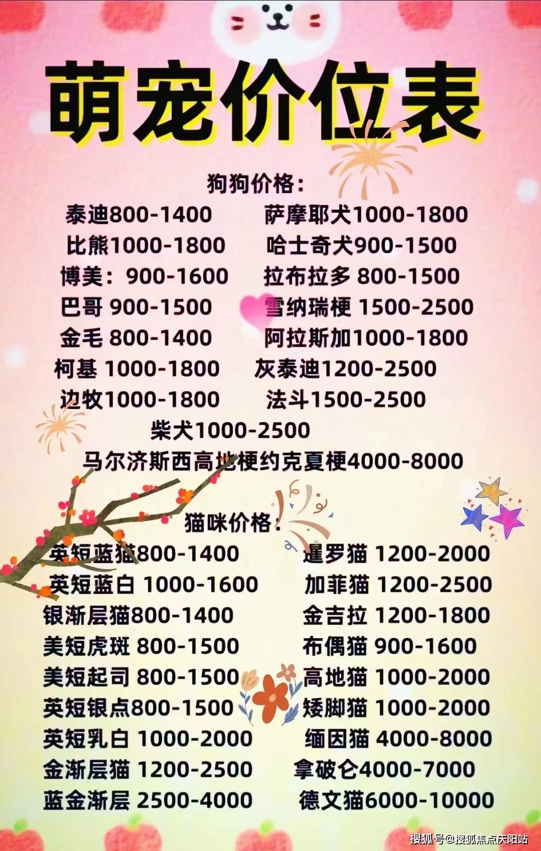 宁波买博美首页网站丨买博美狗哪里便宜宁波买博美狗哪里便宜丨买宠物