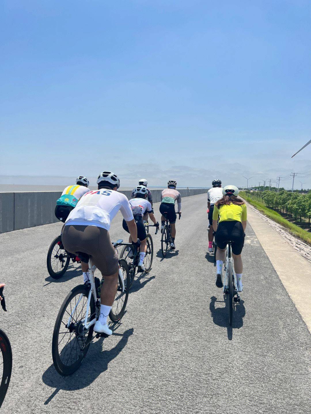 上海户外春季团建新选择长兴岛骑行活动火热招募中