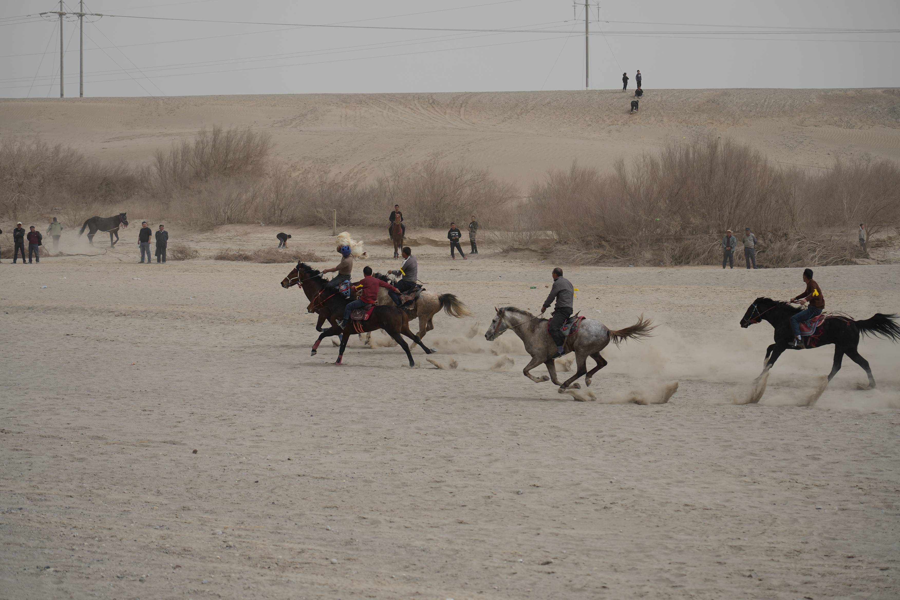"斗鸡,赛马,叼羊……"若羌县农牧民传统体育竞赛活动精彩纷呈_文化_群