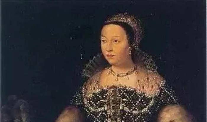 胡格诺战争,法国版的三十年战争_凯瑟琳·德·_宗教战争_吉斯