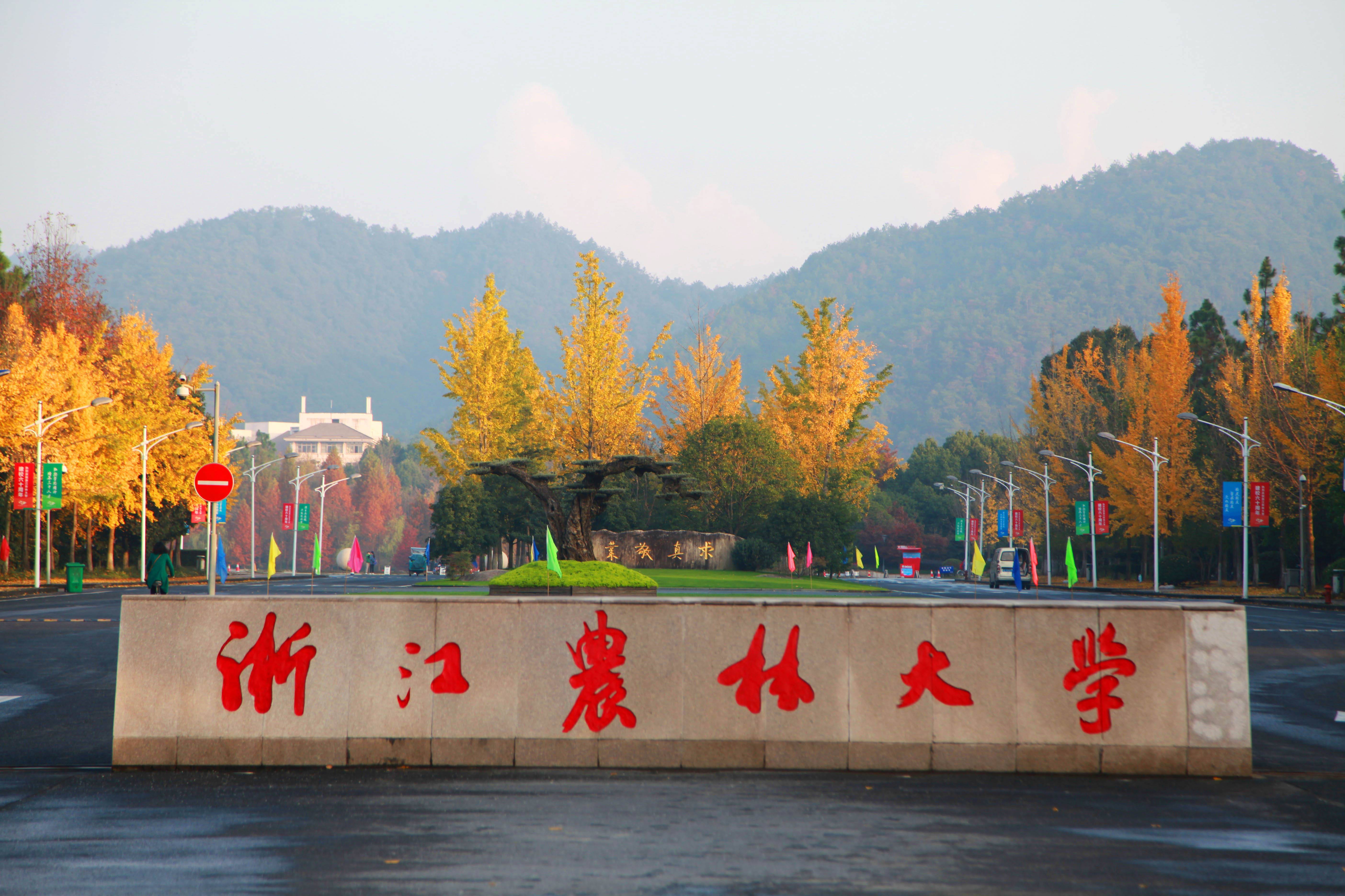 城北小学,西林小学,杭州天目外国语学校小学部),3所中学(锦城二中