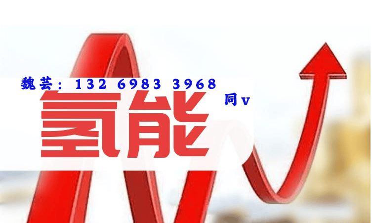 2024武汉氢能燃料电池展开幕——新氢动力展示氢能新成果释放氢能产业