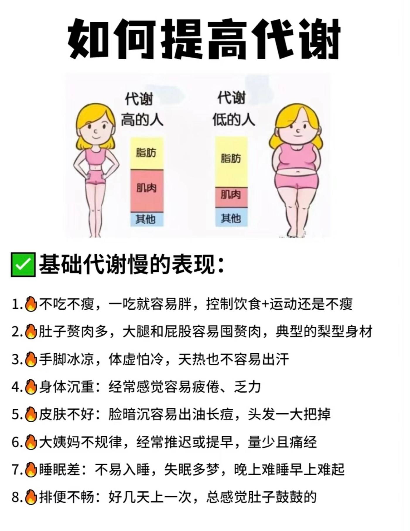 人体基础代谢标准图片