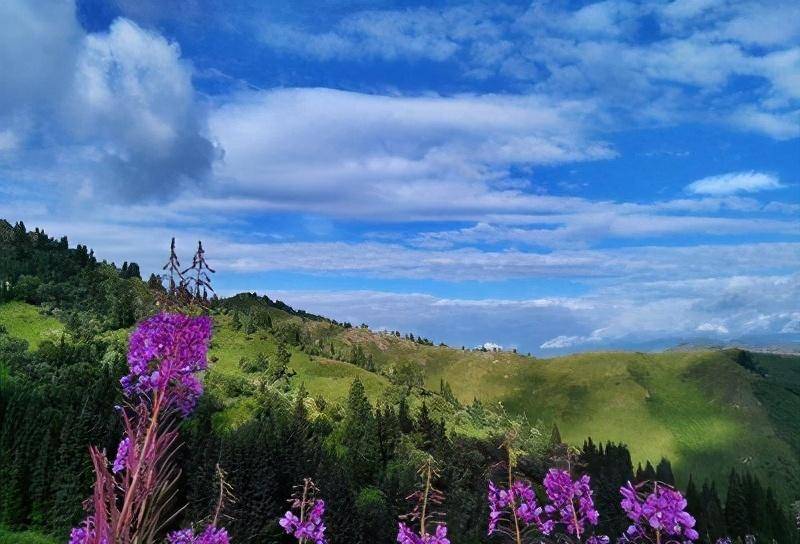 最后一片净土夏尔西里1998年才回归祖国它是如何被收回的