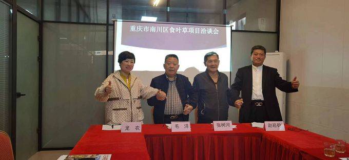 川渝联手多方协作食叶草南川项目成功签约落地