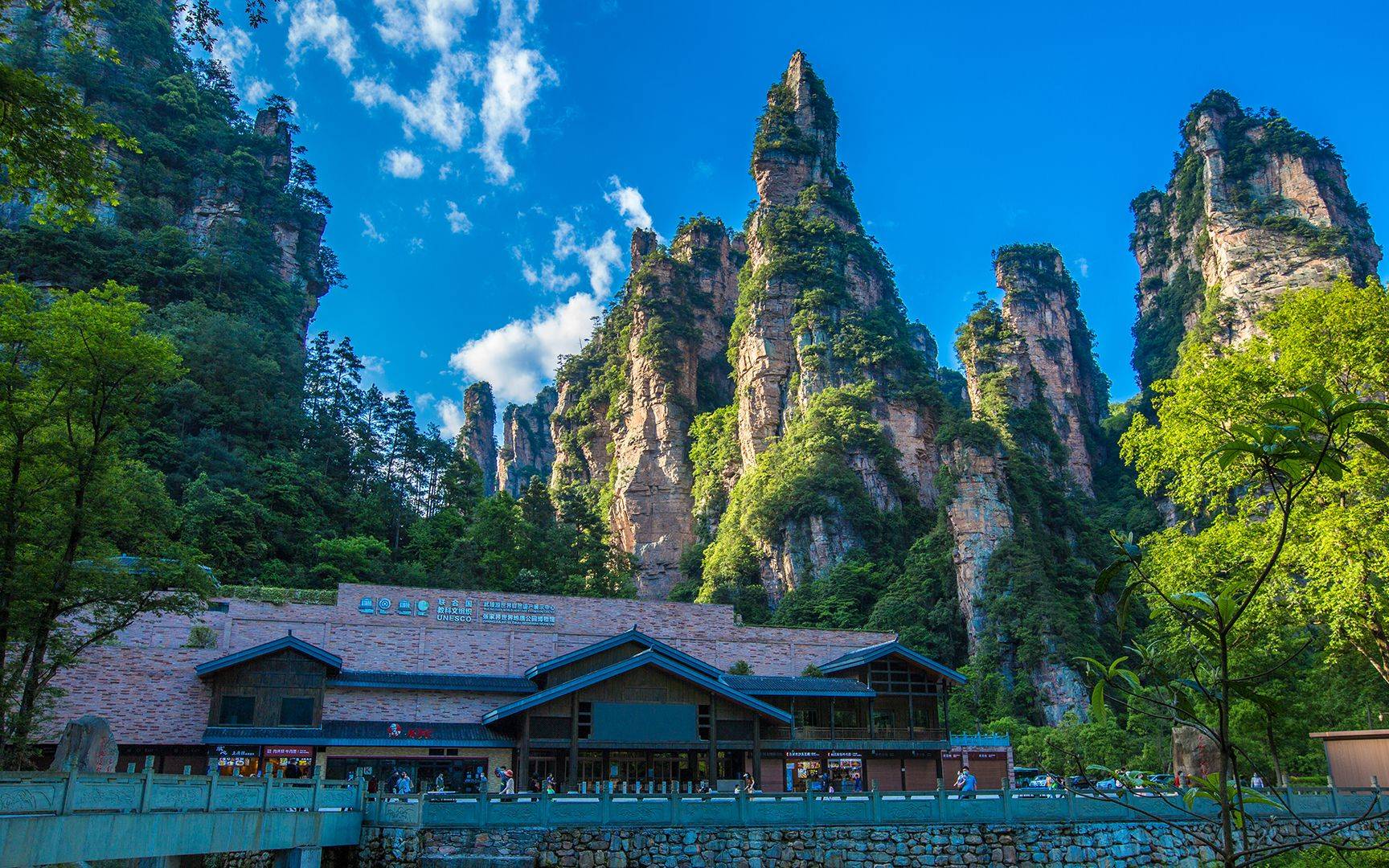 旅游张家界金鞭溪