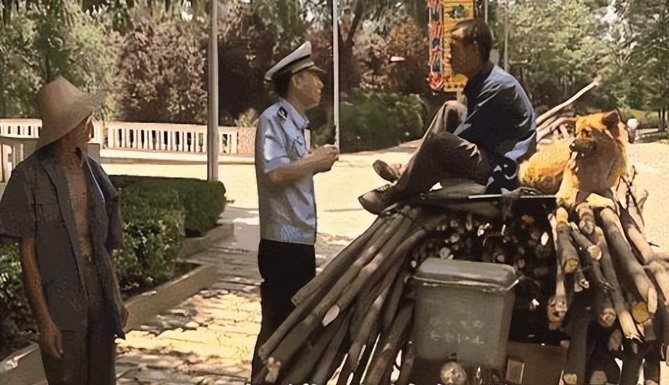 谭乔从交警到顶流网红曾拒绝央视高薪如今为何面临巨额赔偿