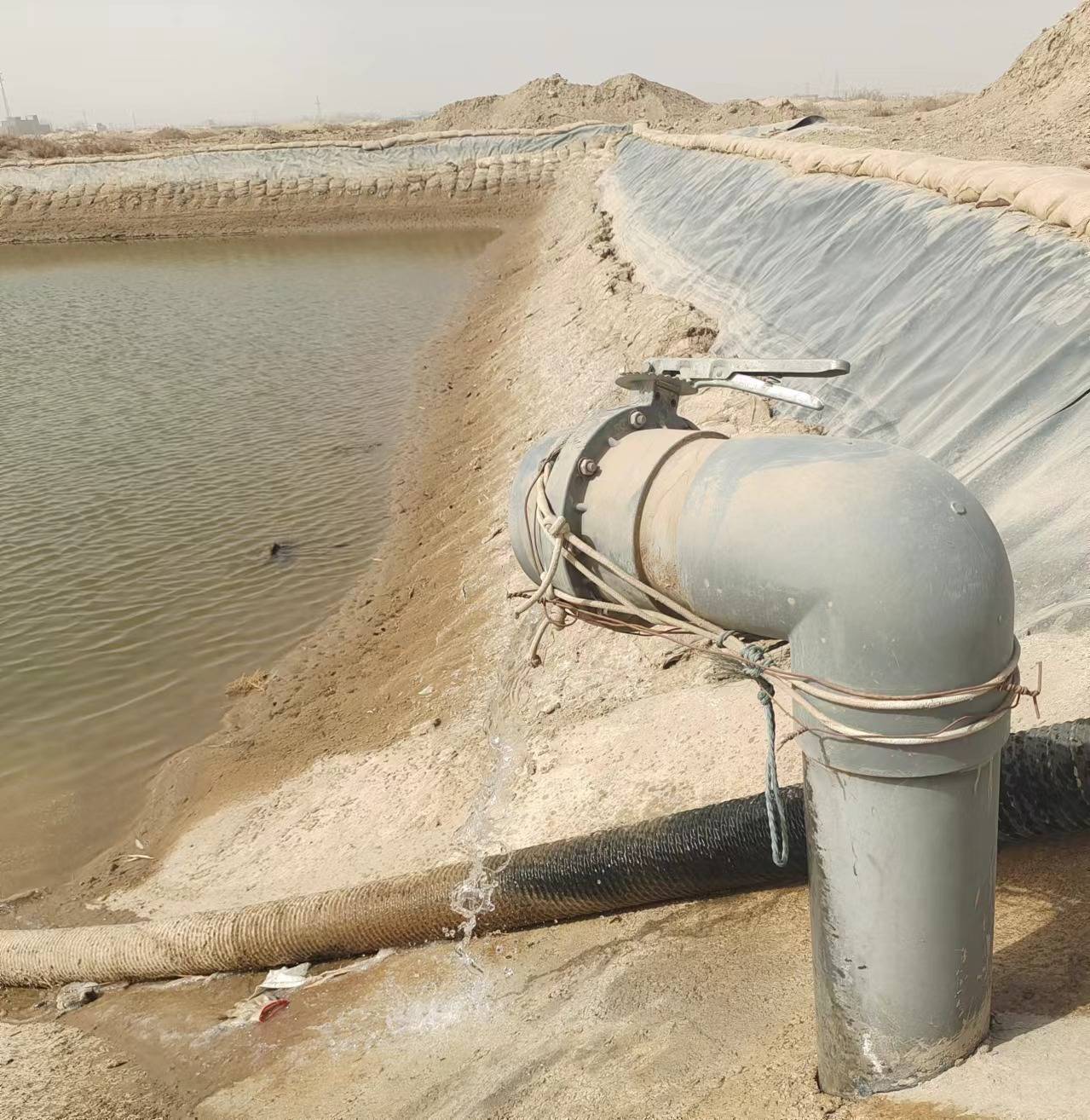 轮台县用蓄水确保树木解渴打通绿化经络