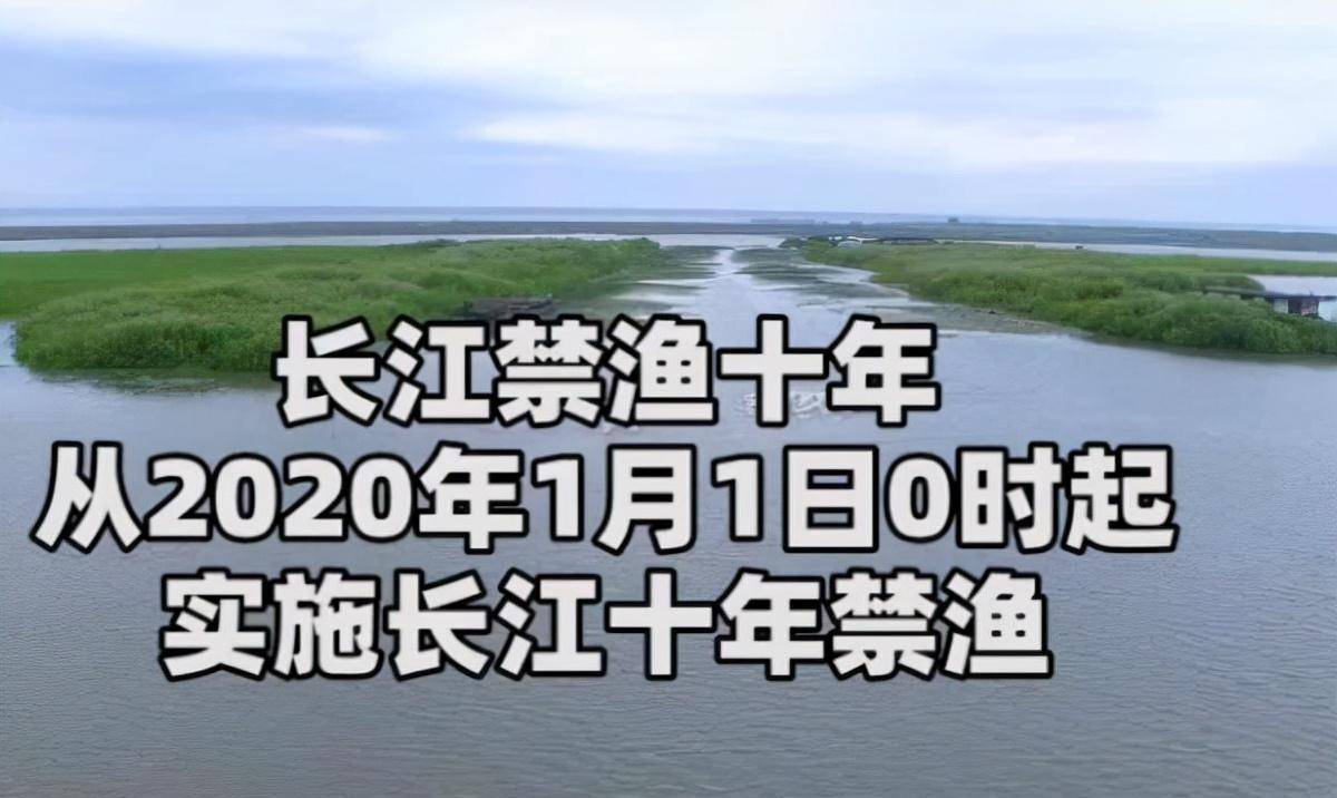 原创我国为什么要实行长江十年禁渔这计划到底能不能造福老百姓