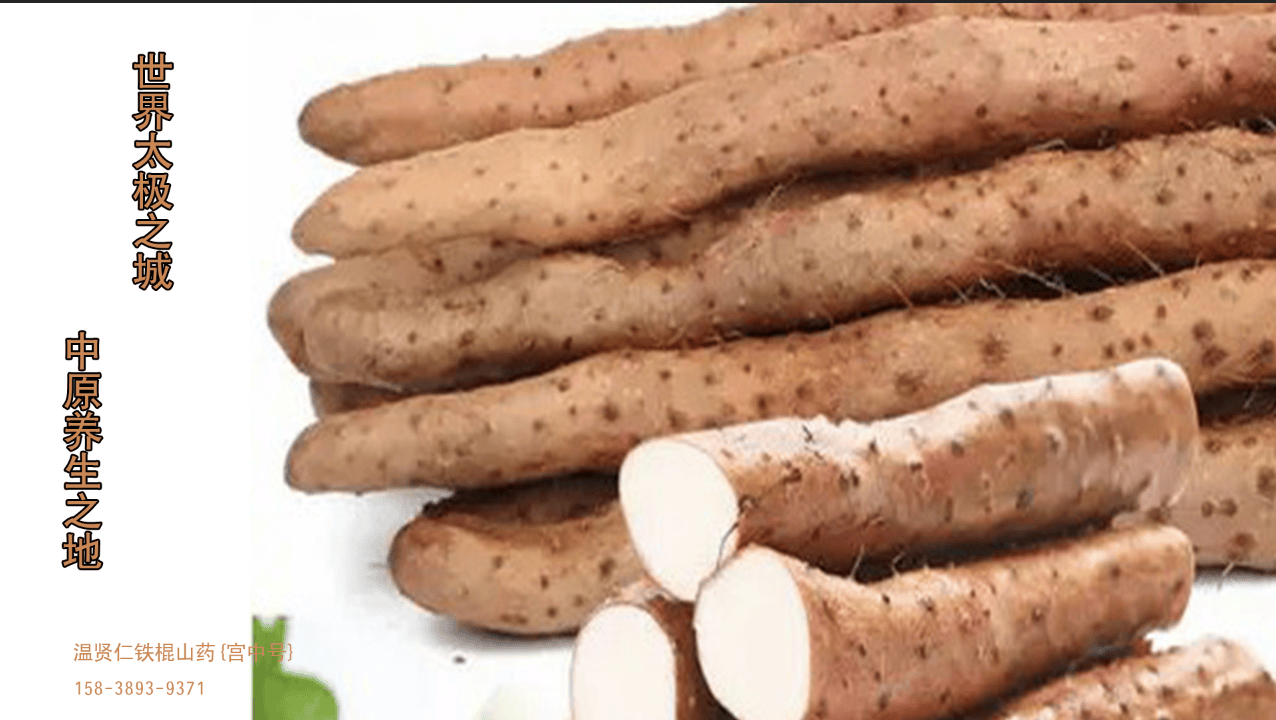 温县铁棍山药与普通山药的区别罗大伦博士力荐怀山药之深度解析药食