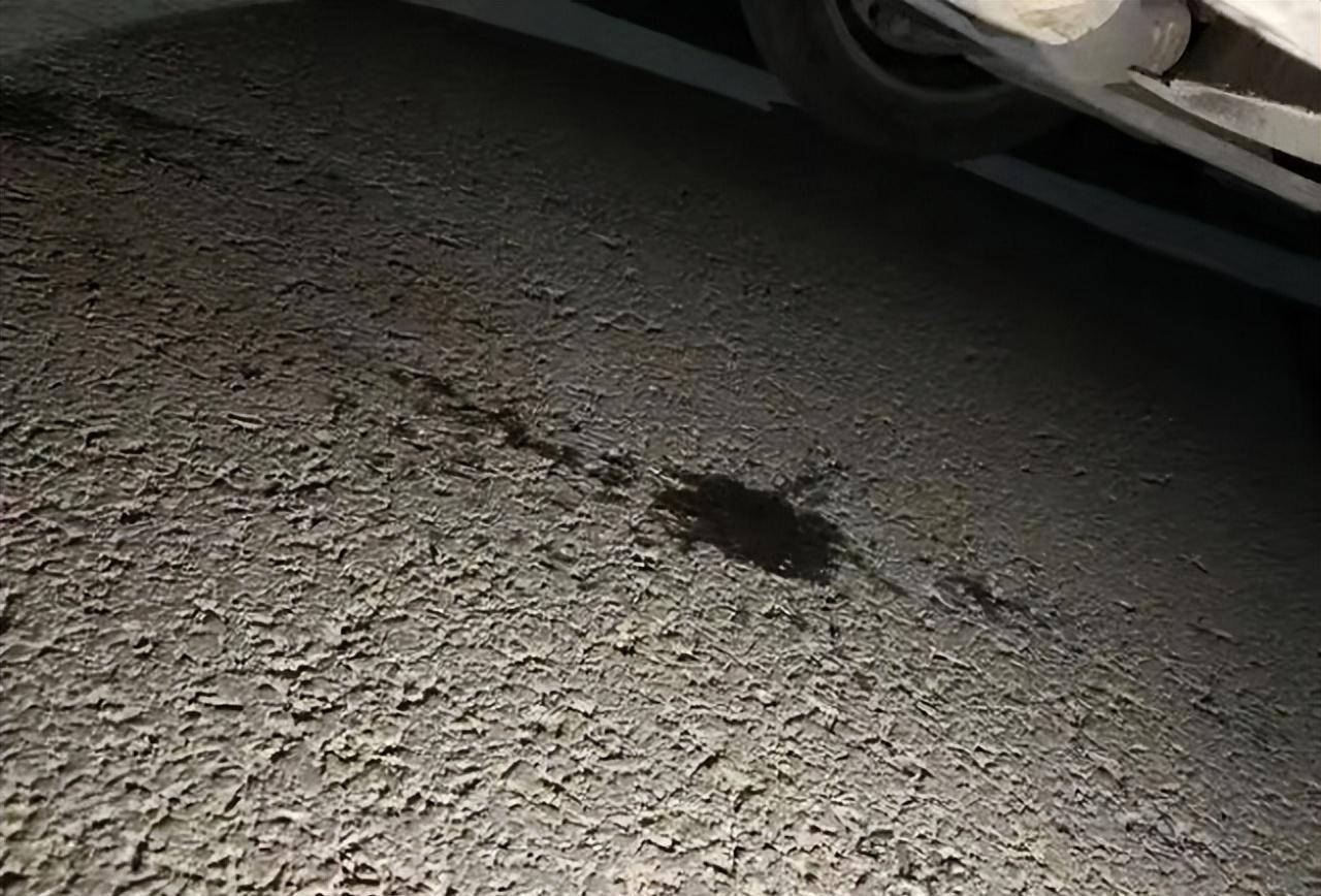 正午的阳光炽热而又毒辣,车上的汽油味越来越重,一切受伤较轻的乘客