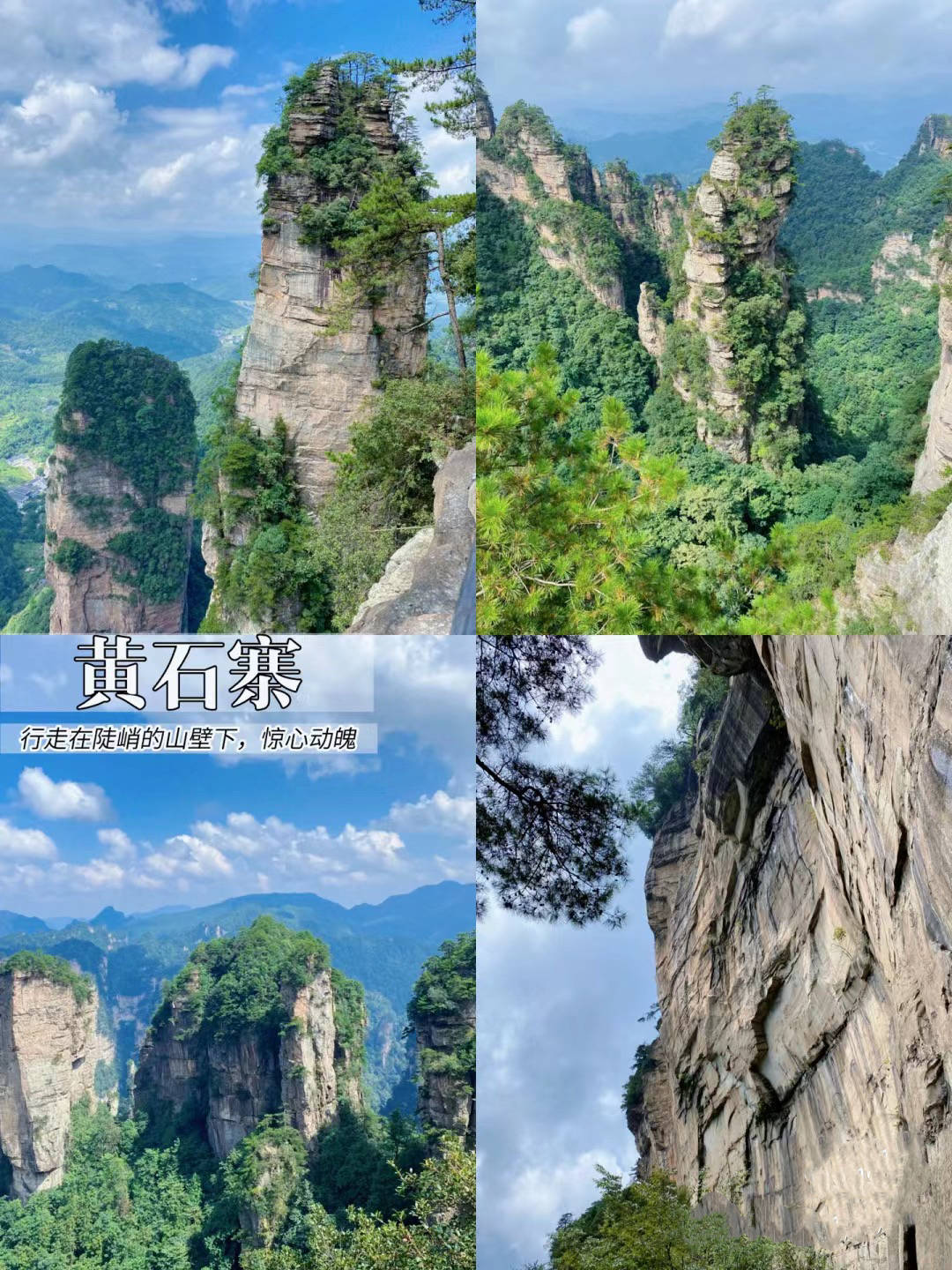 张家界五天四晚跟团费用人均680_阿洁_景点_景区
