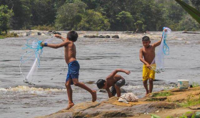 原创苏里南给我65亿我就独立不然坚决薅羊毛荷兰最多35亿