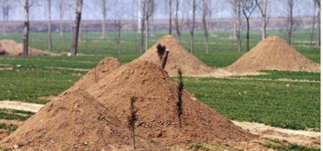 原创原创坟墓冢陵都是什么意思它们又有什么不同