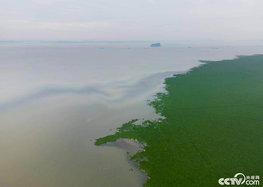 强降雨致鄱阳湖水位突破12米枯水线 搜狐大视野 搜狐新闻 8142