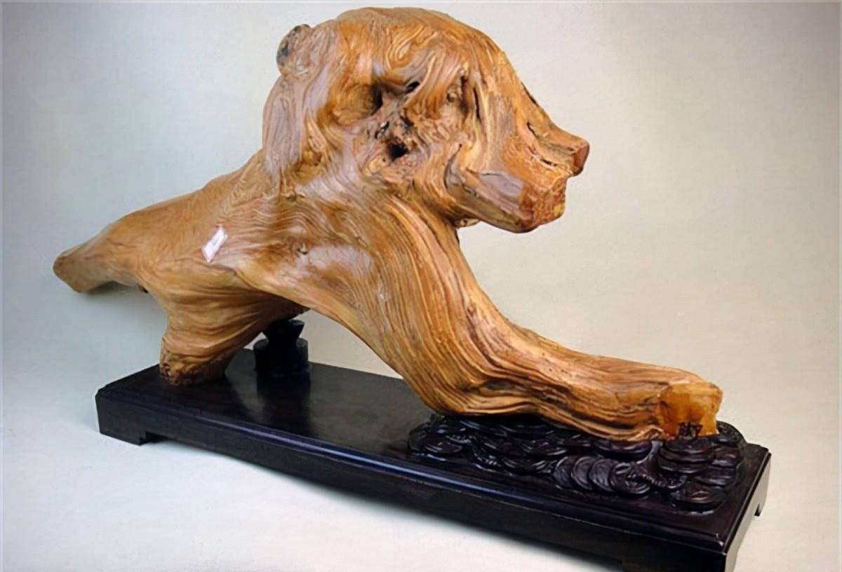 户花500万订制藏獒根雕,长4米重达3吨,如今"烂"成废柴_人们_价格_心理