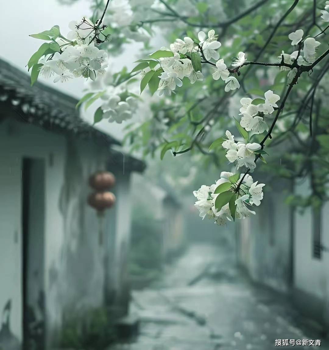 罗洪标 |《小楼一夜听春雨(外六首》