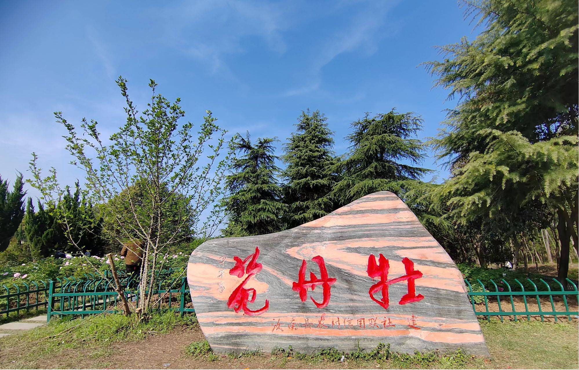 驻马店市汝南县:牡丹花开惹人醉 千年古县展新颜_时节_中山_京城