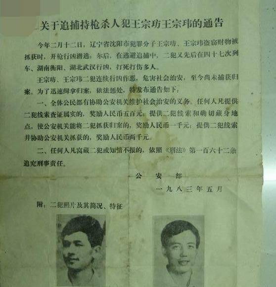 为追捕两个持枪悍匪,2万多人把这座山包围搜山,最后被警犬叼住_王宗玮