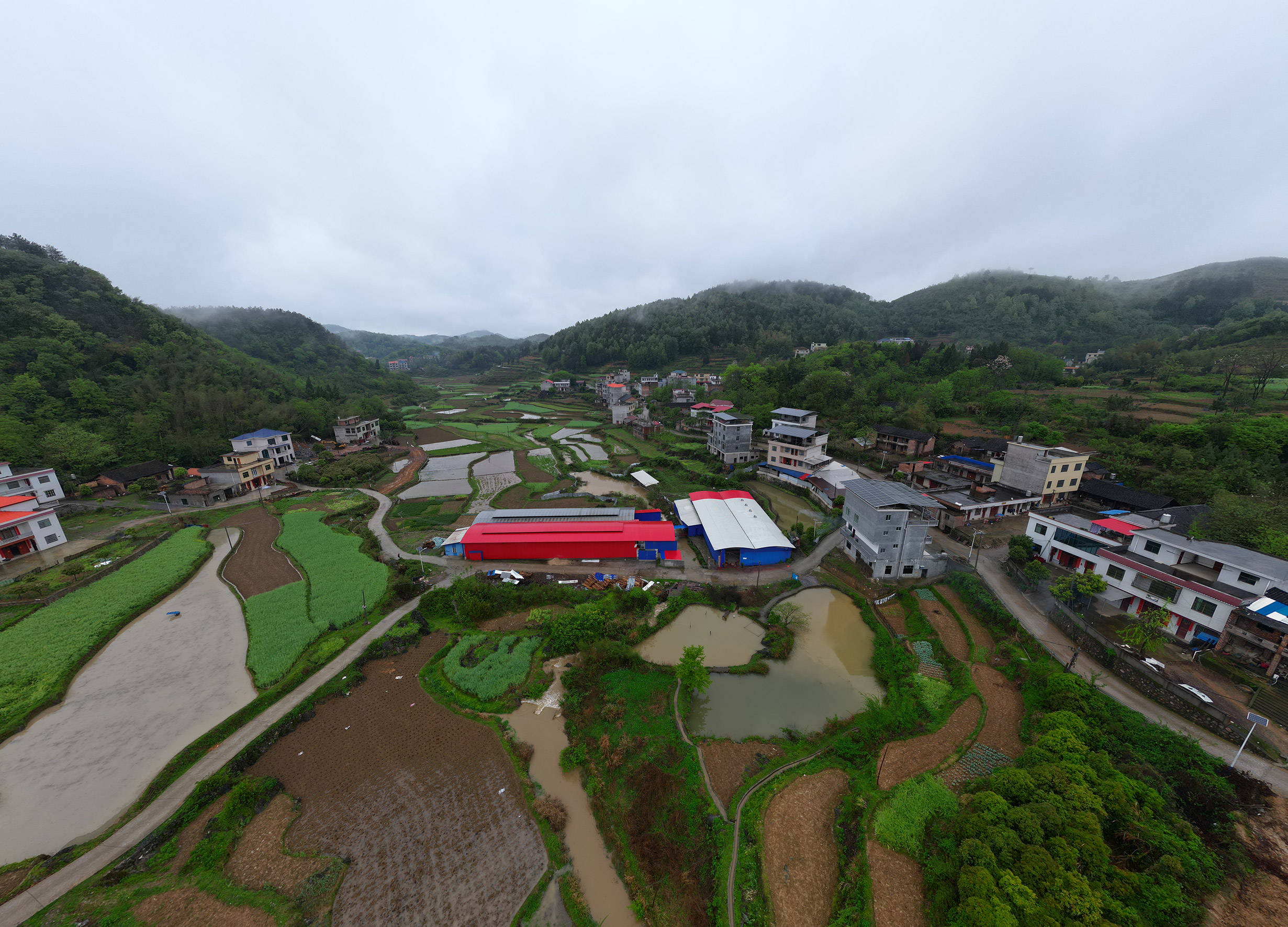 "乡村振兴 寻找美味"湖南商人在广东平台走进安山豆腐