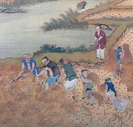 以汉唐时期为例看传统中国的农业发展农耕区的拓展