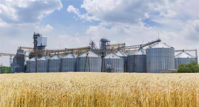 原创两年前中央粮库400吨粮食不翼而飞是有内鬼还是有江洋大盗