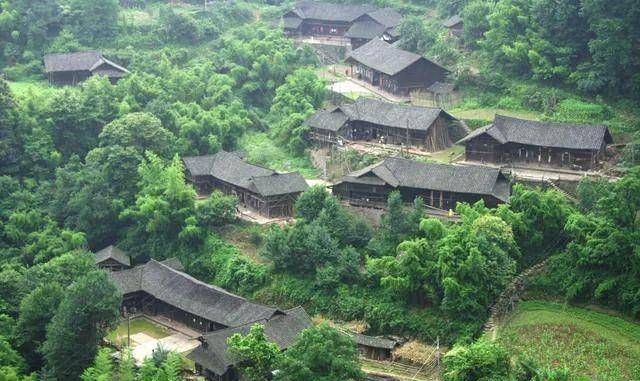 原创湖南人民打虎记机枪扫射百虎围村两败俱伤