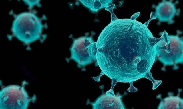 它被写在第20号染色体上,会导致何种疾病?_病毒_人类_僵尸