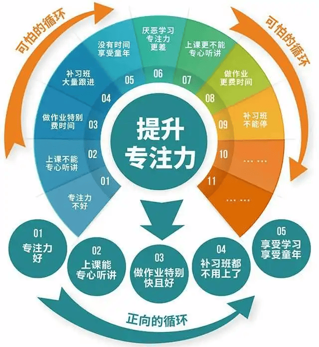 多特儿童专注力图片图片