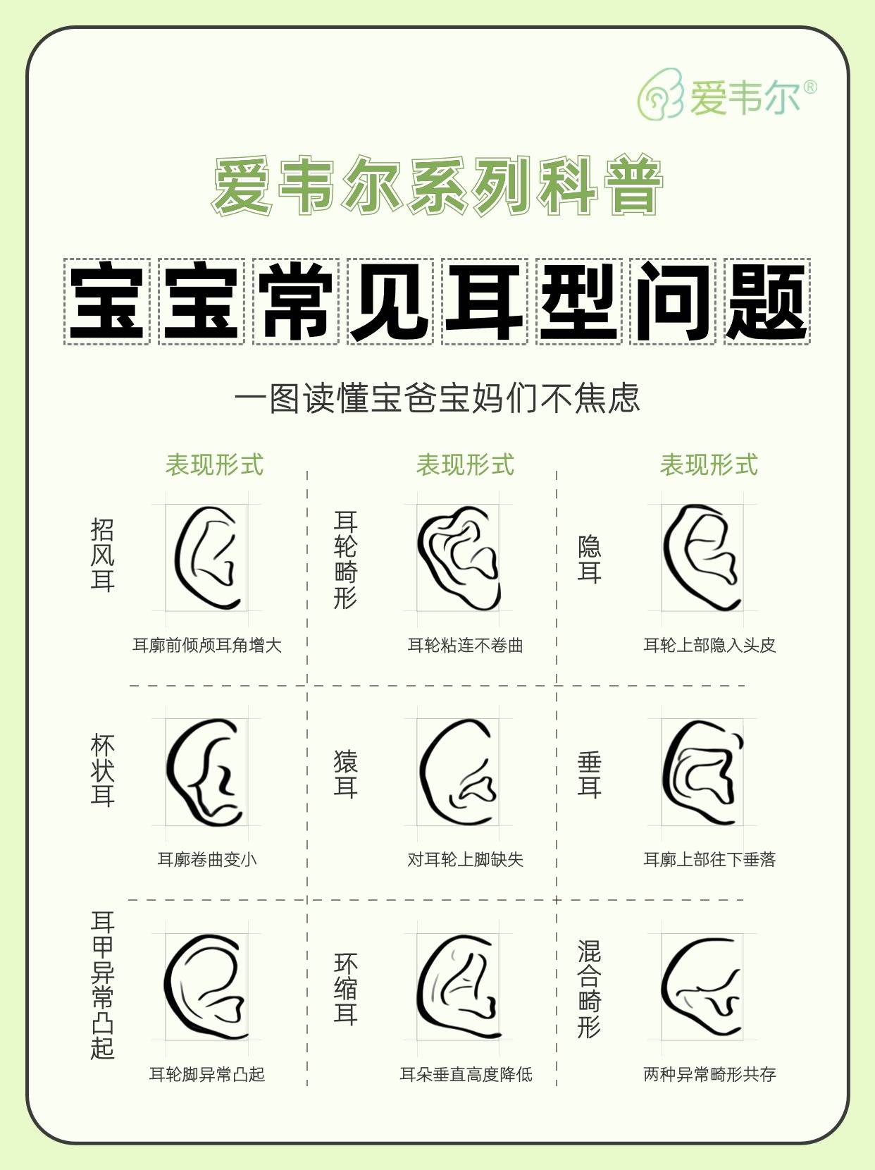 型知识~科学矫正