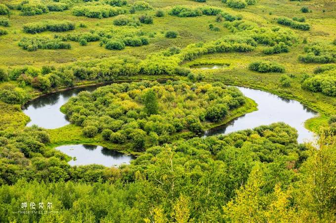 呼伦贝尔旅游必去景点亚洲第一湿地