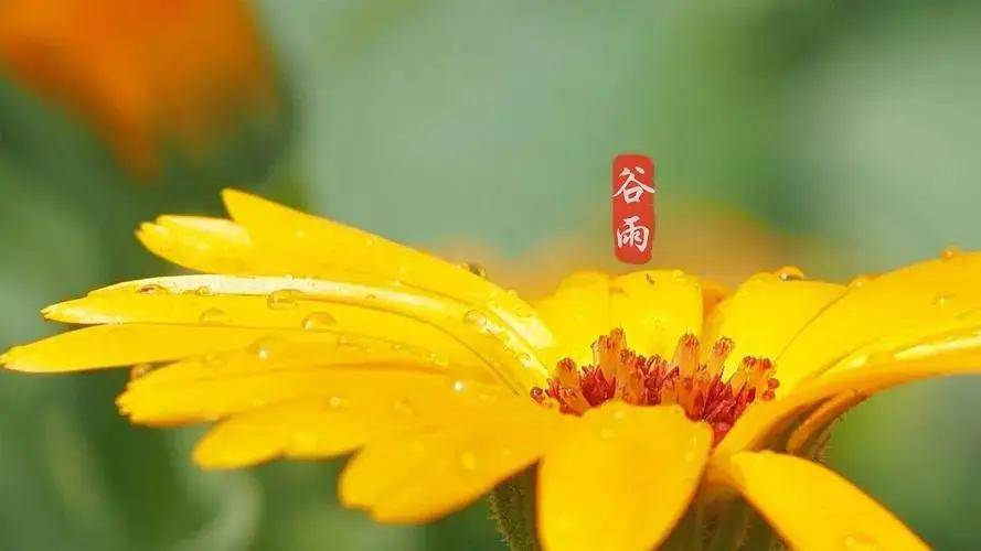 春雨像什么一樣輕輕地落到地上_春雨像輕紗一樣輕輕地落到地上_春雨像落葉一樣輕輕的落在地上