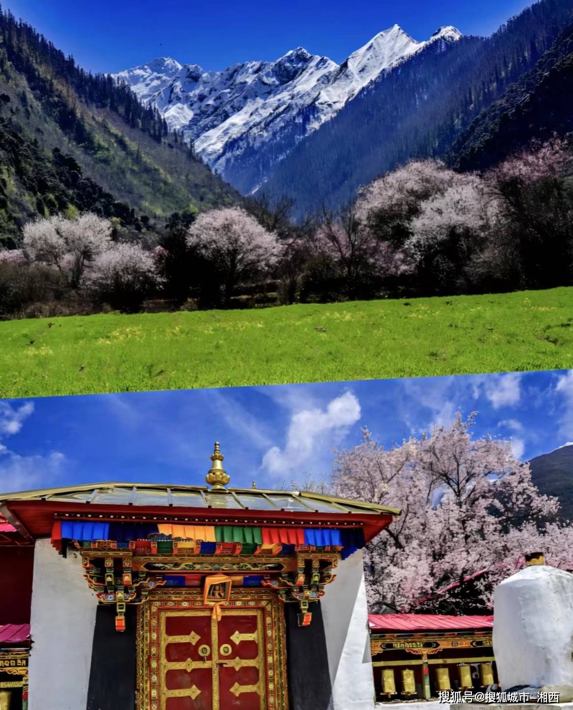 全世界最美的地方--西藏,西藏旅游注意事项,西藏四日游多少钱?