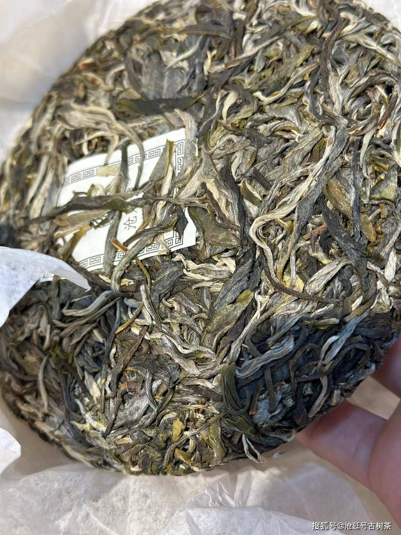 新品沧延号2024年【v8老曼峨纯料生茶】高货厚重生津强_古树茶_香气