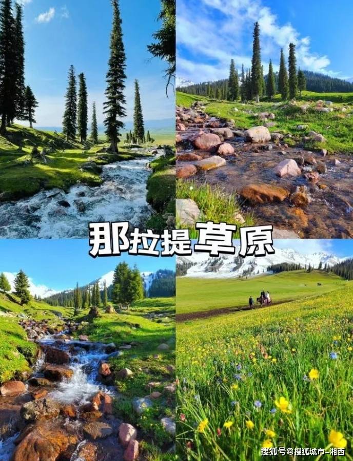 伊犁8日游景点攻略,假期出行必备_day_那拉提_草原