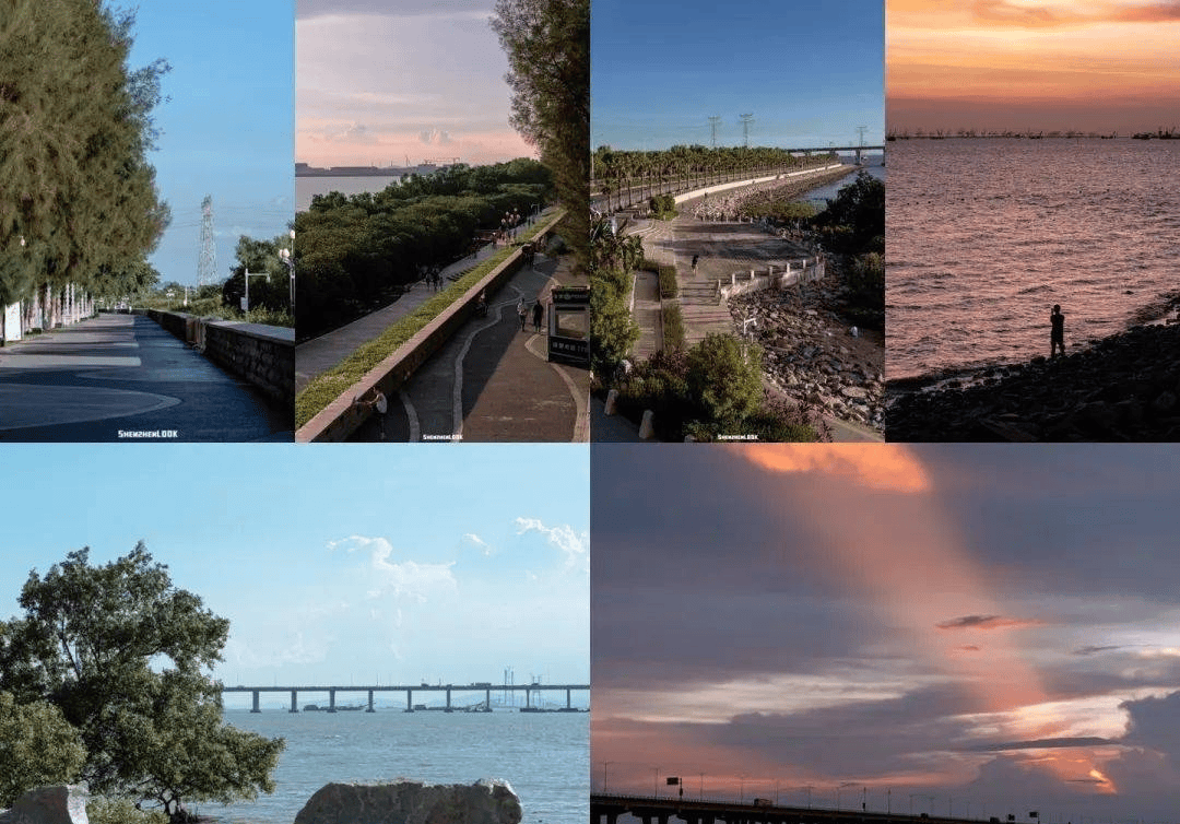 和荣西湾(售楼处)首页网站|售楼处|深圳宝安和荣西湾售楼处欢迎您