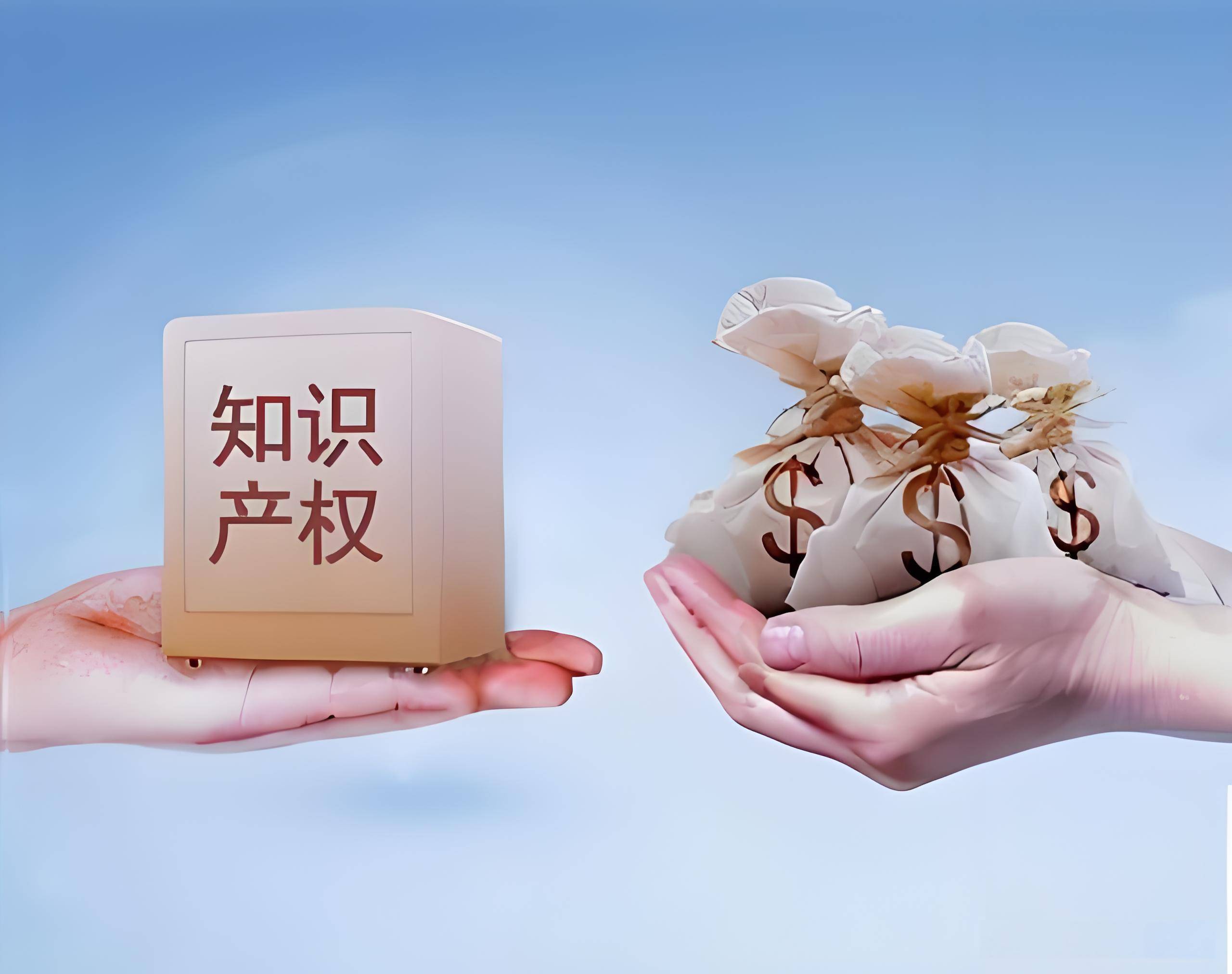 知识产权维权