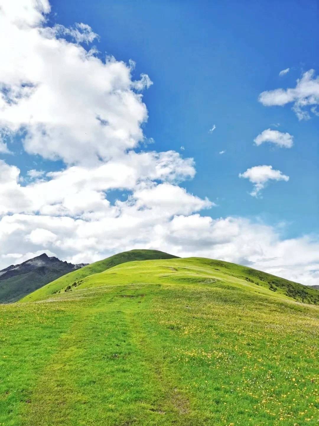 成都川西周边人少无门票的小众露营景点有哪些_马尔康