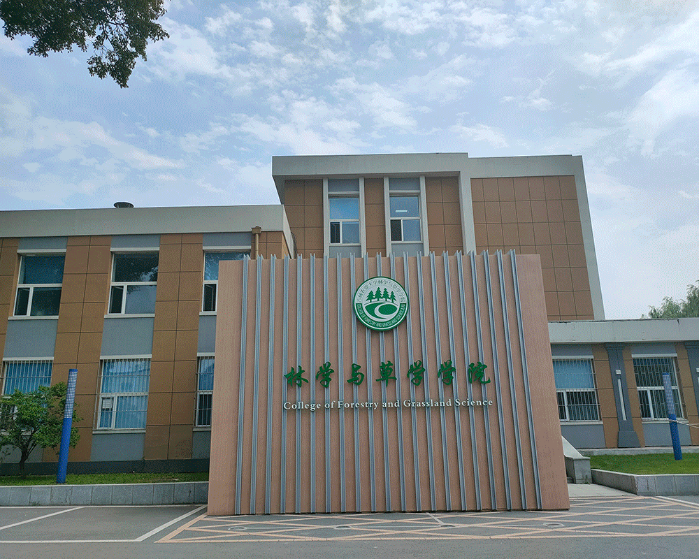 长春成考专升本报名时间