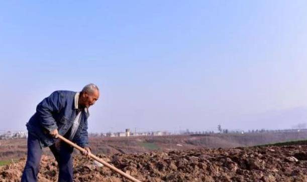 老农挖出生锈"老虎",拿回家给孙子当玩具,擦掉锈迹惊动文物局