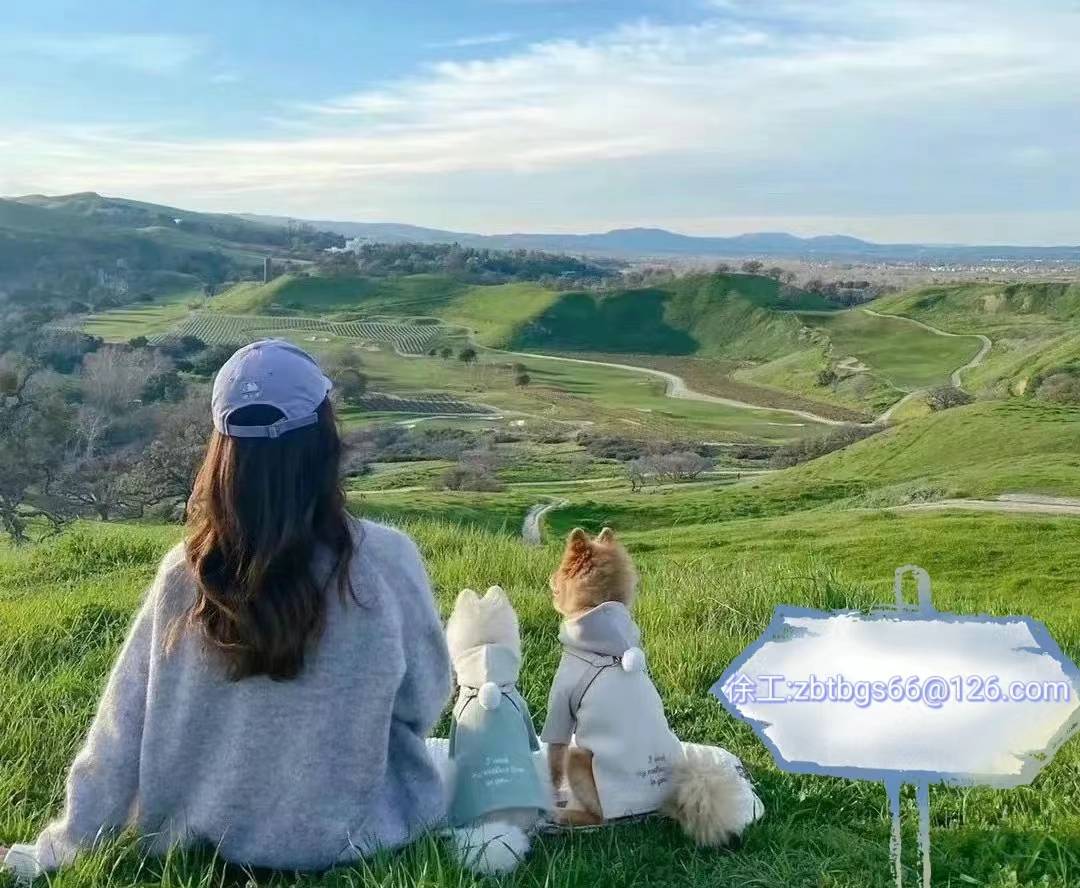 招标资讯:莱阳市第四中学日语教学服务项目