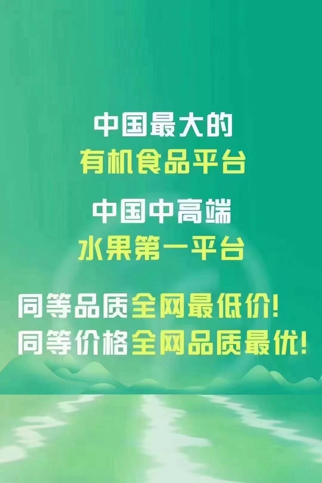 天津空港经济技术开发区_天津空港经济技术开发区管委会_天津空港经济开发区管委会主任