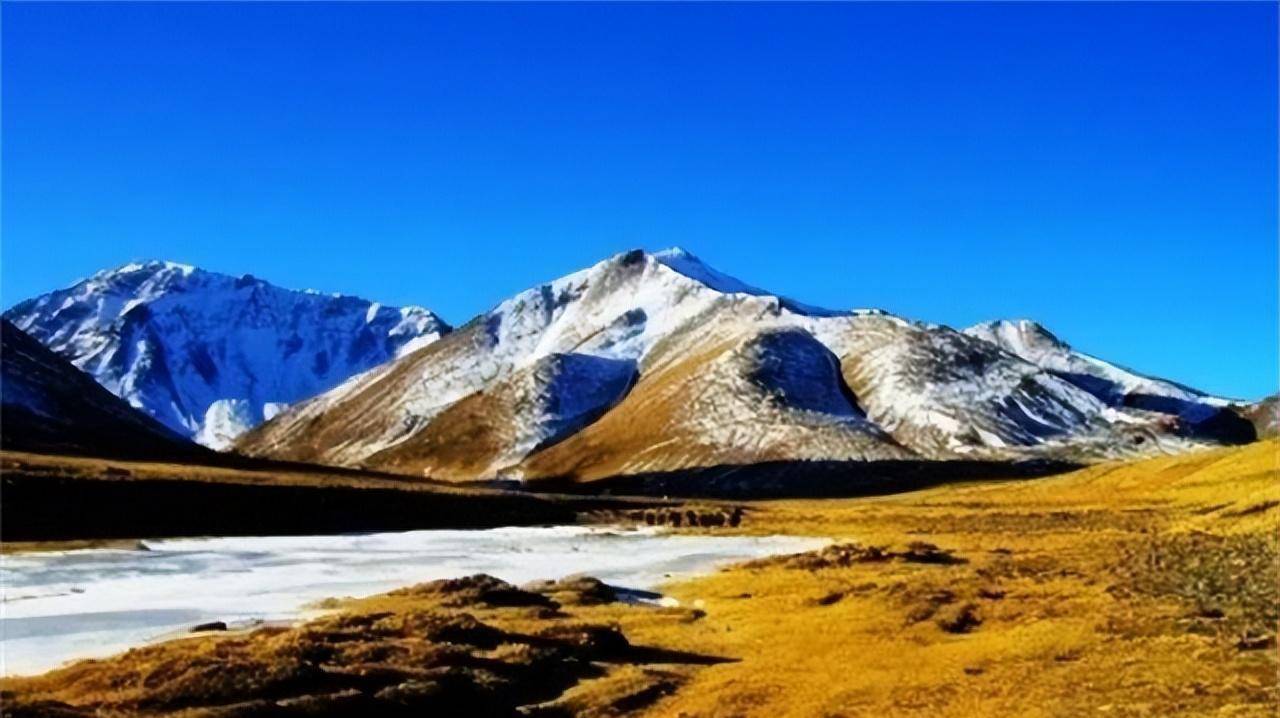 西藏那曲县:种活一棵悬赏30万,为树修建玻璃房,如今怎样了?