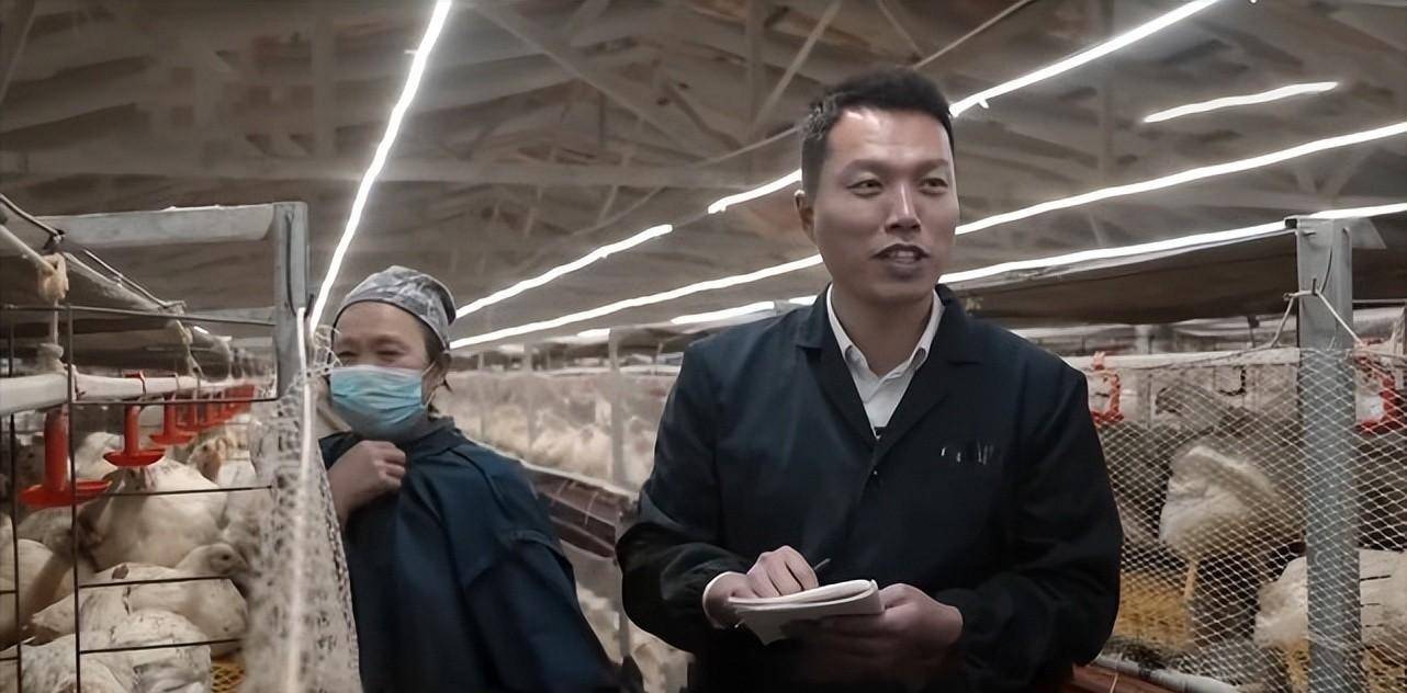 黑龙江鸡王的创业梦,为一千只东北虎送餐,庖丁解鸡成亿万产业