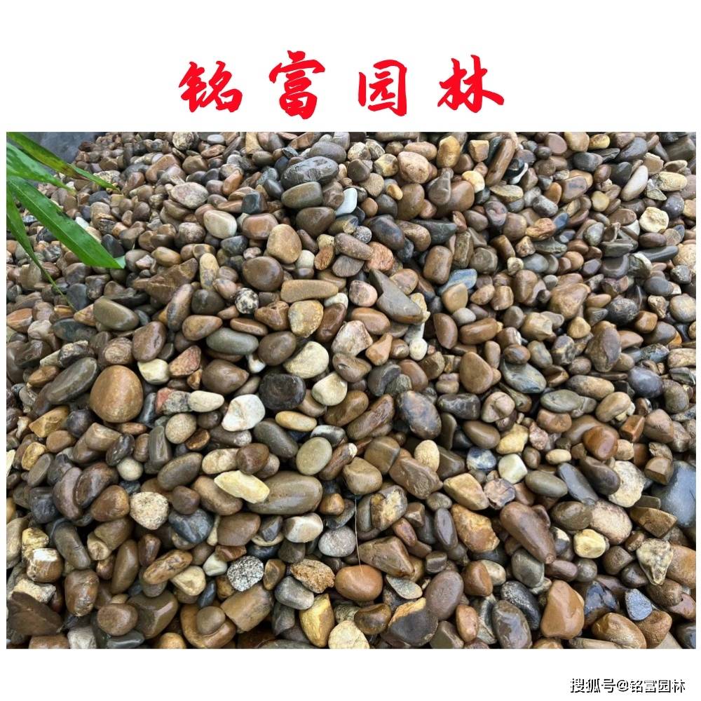 休息区鹅卵石铺装设计 鹅卵石价格一般多少一吨 铭富园林景观石