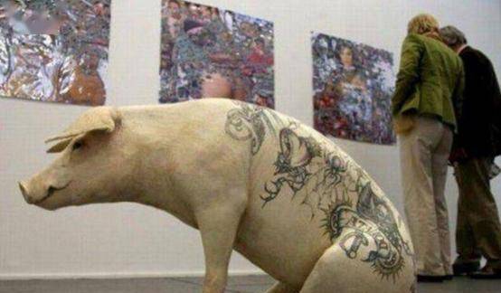 男子给活猪纹身,猪皮卖给香奈儿做限量款皮包,一张猪皮净赚51万