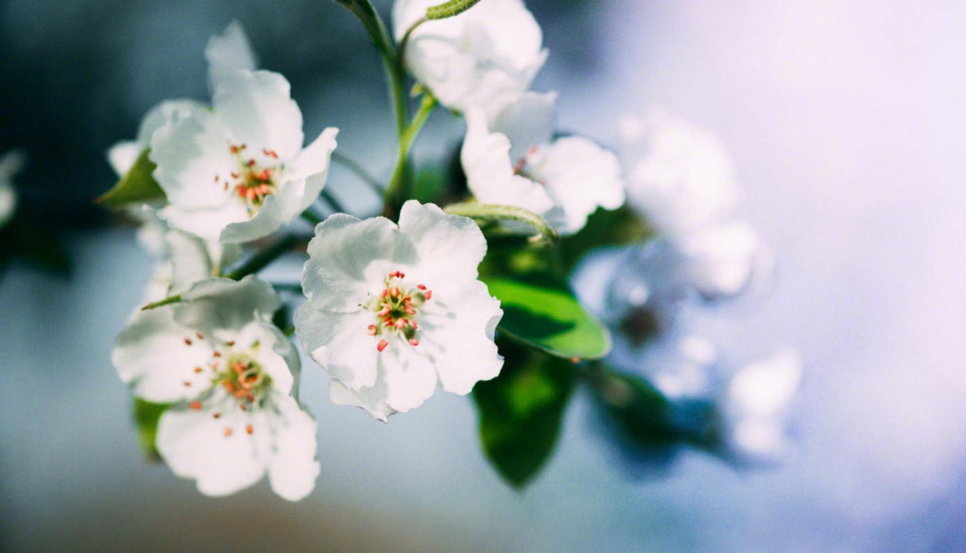 亲人之间相处,一旦出现以下这样的事,关系也就开始疏远了