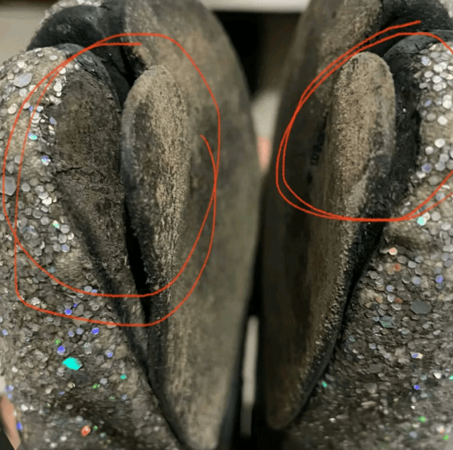 网友99元购朱珠二手鞋, 严重磨损需修复,网友:用胶水粘一下就行了