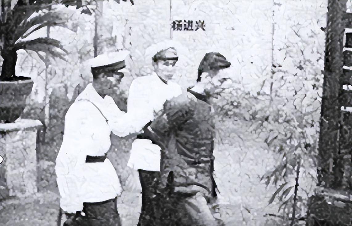 1949沈醉检举张静甫杀害杨虎城,张被枪决34年后,其妻却来信喊冤