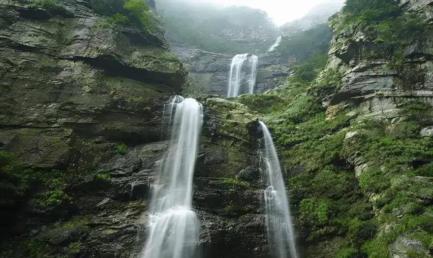 这天下午,张乐怡带着宋子文游览了大林寺,花径,仙人洞,大天池等庐山